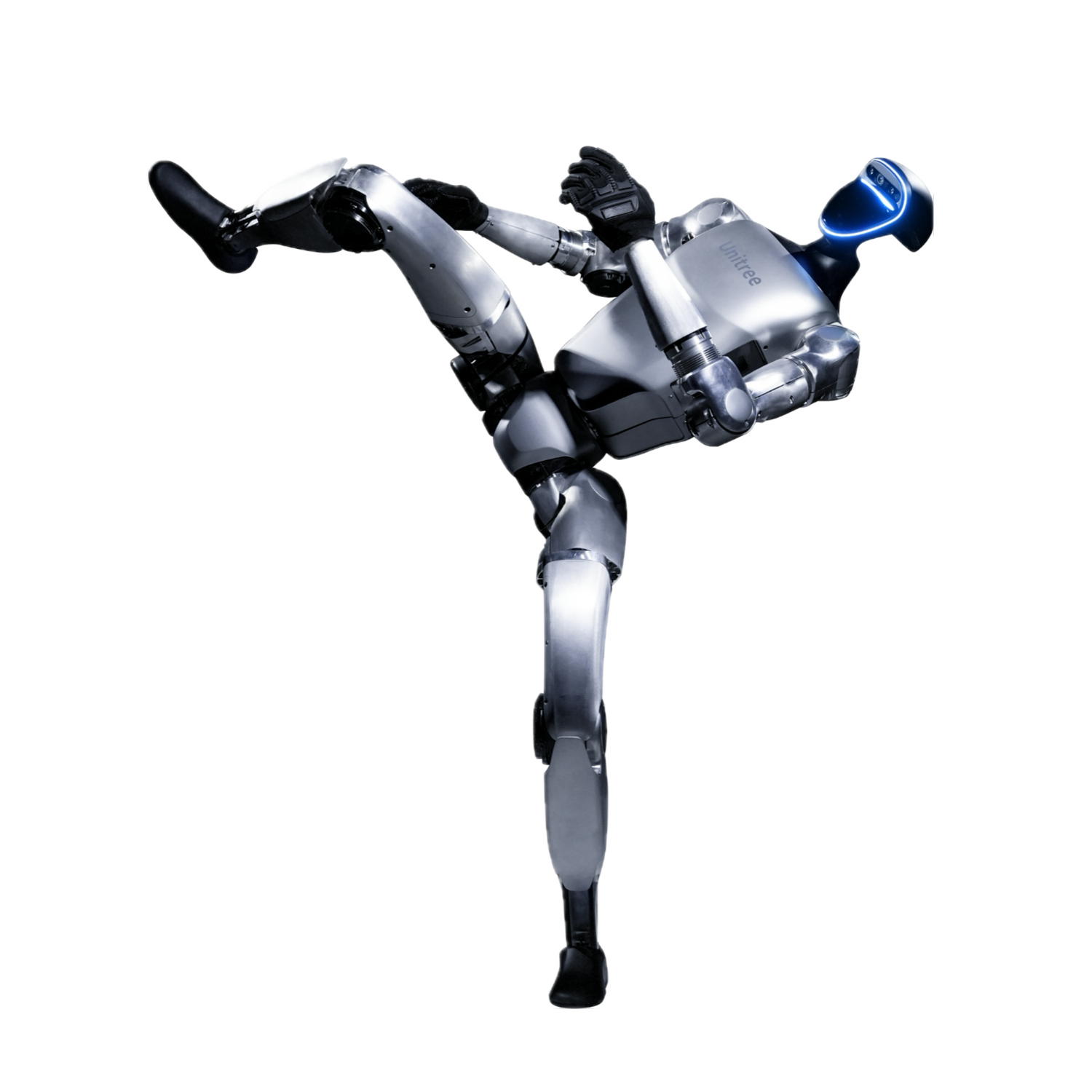 Unitree G1 Robot in martial arts pose